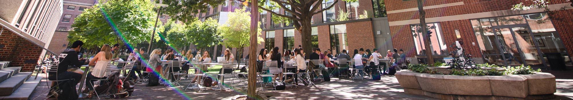 Panoramic view of students studying outdoors