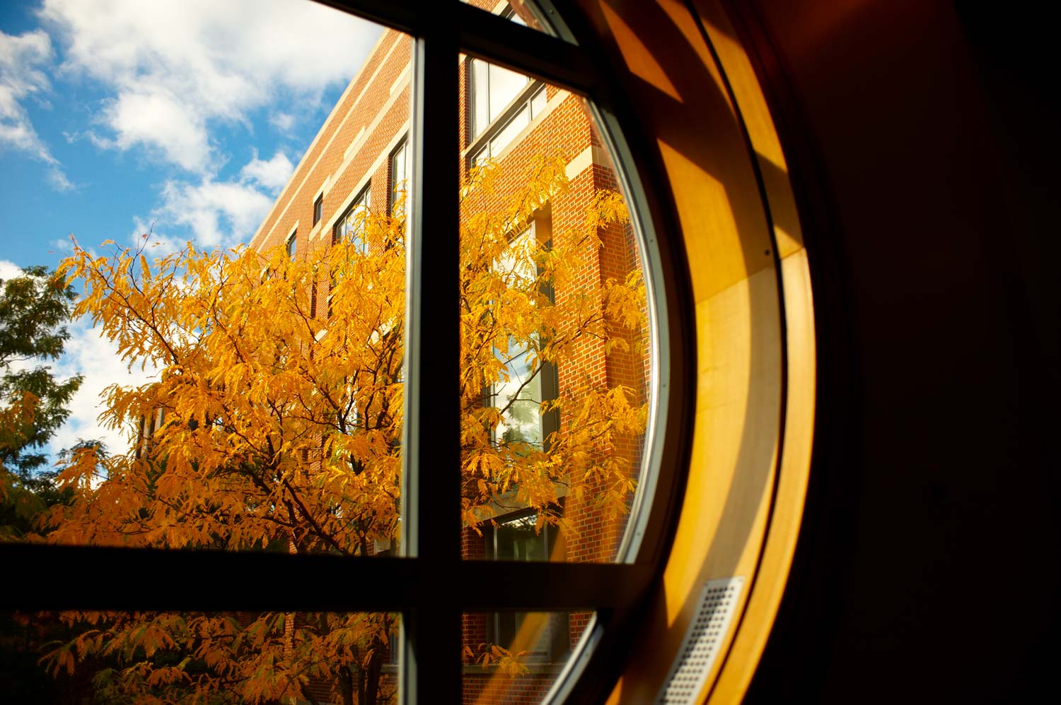 Penn Law building through a window